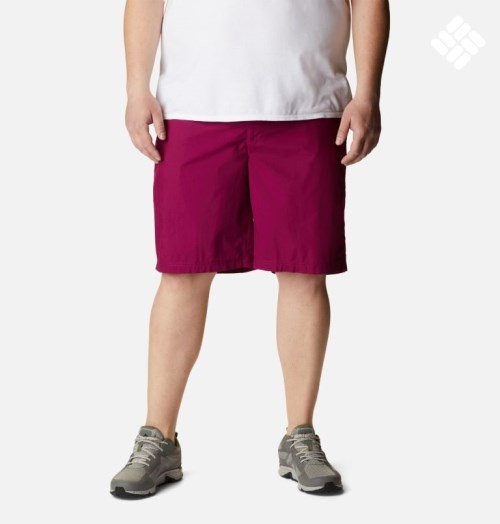 Men's Columbia Washed Out Shorts Fuchsia | Plus Size CA-ZALC1